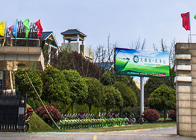 湘豐茶業(yè)集團(tuán)獲評(píng)農(nóng)業(yè)產(chǎn)業(yè)化國(guó)家重點(diǎn)龍頭企業(yè)