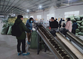 國家知識產(chǎn)權局及國際媒體采訪調(diào)研湖南湘豐桑植白茶有限公司