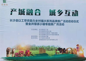 好喝更好看！湘豐茶業(yè)閃耀慧潤盈商小鎮(zhèn)“金井鎮(zhèn)專題推廣月活動(dòng)”