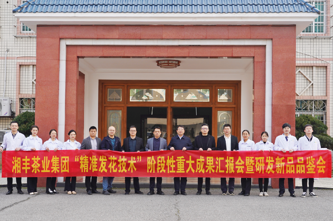 湘豐茶業(yè)集團(tuán)“精準(zhǔn)發(fā)花技術(shù)”取得重大階段性成果！