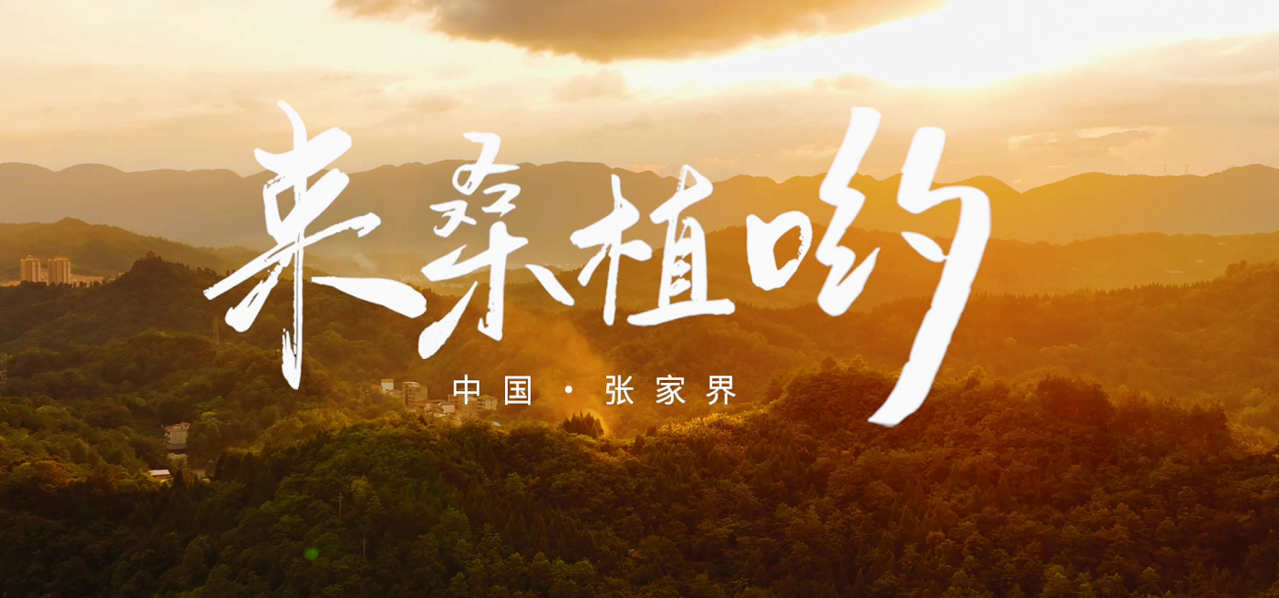 桑植推廣歌曲《來桑植喲》發(fā)布！