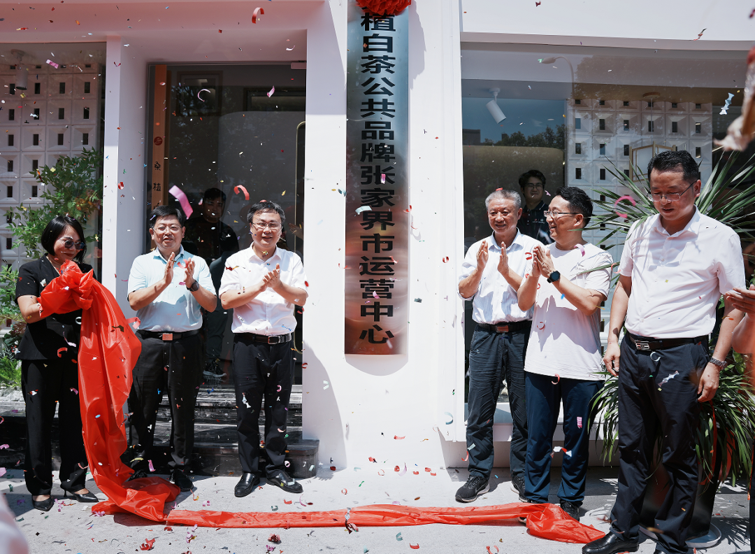 喜報！張家界白莓旗艦店盛裝開業(yè)暨桑植白茶公共品牌張家界市運營中心隆重揭牌！