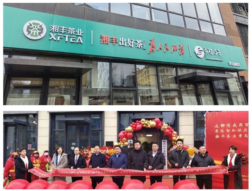 青島旗艦店盛大開業(yè)！湘豐茶業(yè)集團全國布局再下一城