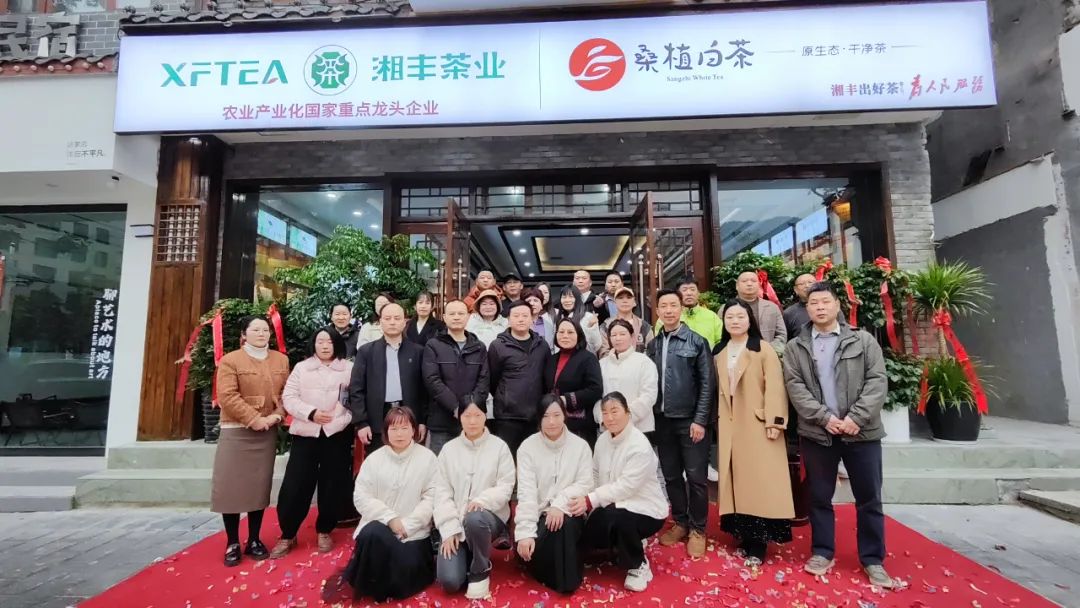 湘豐茶業(yè)·桑植白茶張家界武陵源旗艦店盛大開業(yè)！
