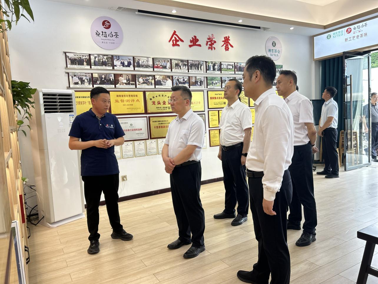 市委副書記、代市長(zhǎng)陳澎帶隊(duì)調(diào)研湘豐桑植白茶公司