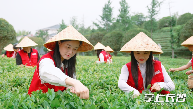 “茶·湘”刮刮樂上市 賦能鄉(xiāng)村文旅新活力